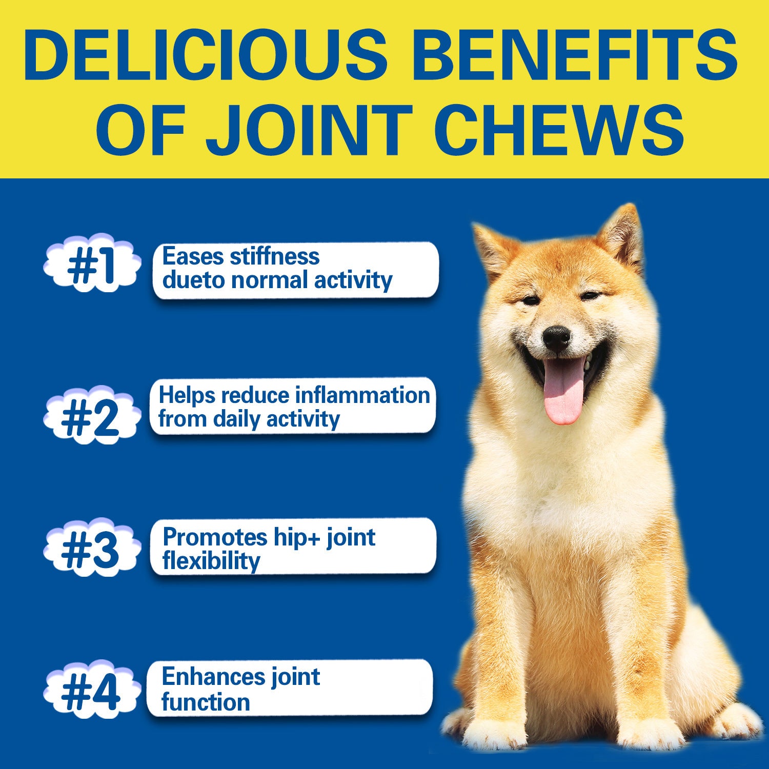 Pet Hip Joint Supplement Dog Glucosamine Chondroitin