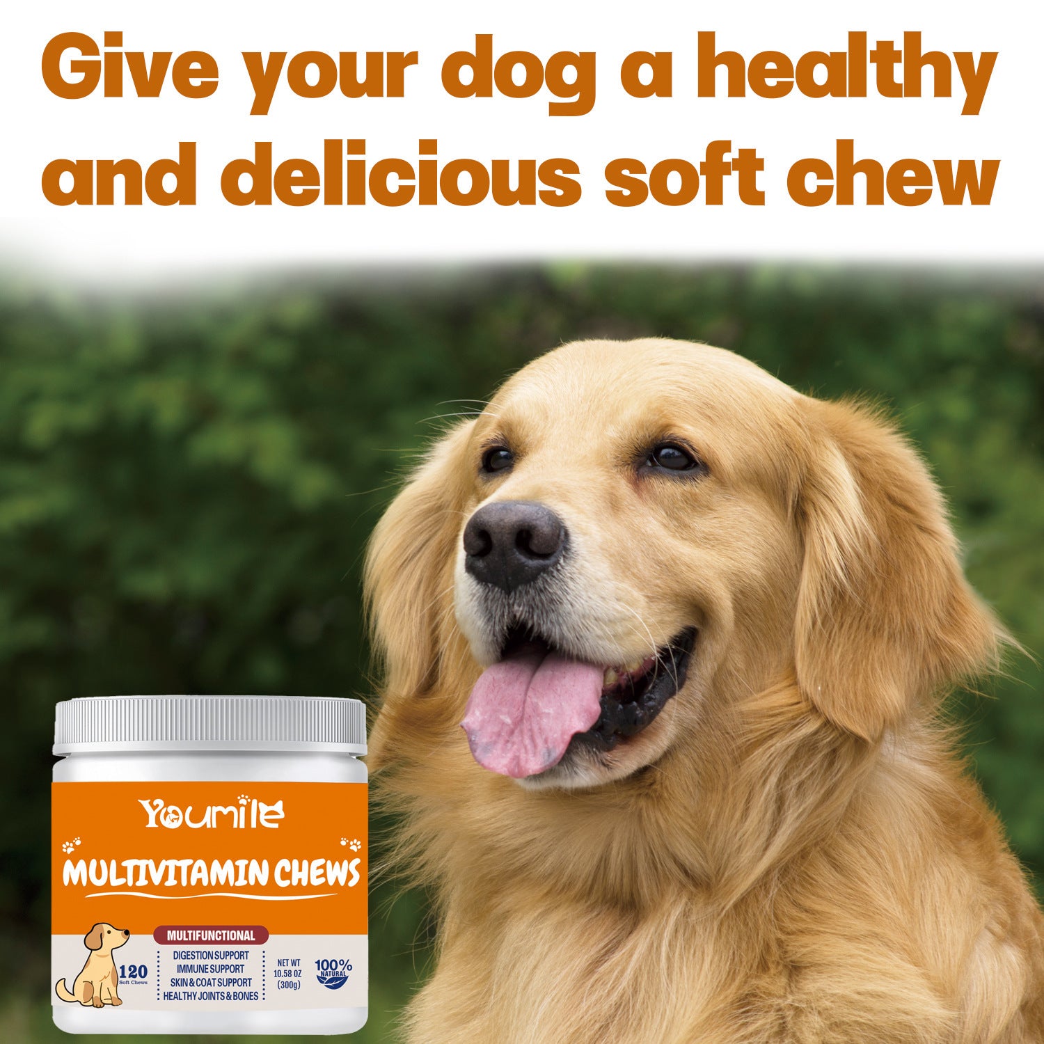 Pet Health and Wellness Product