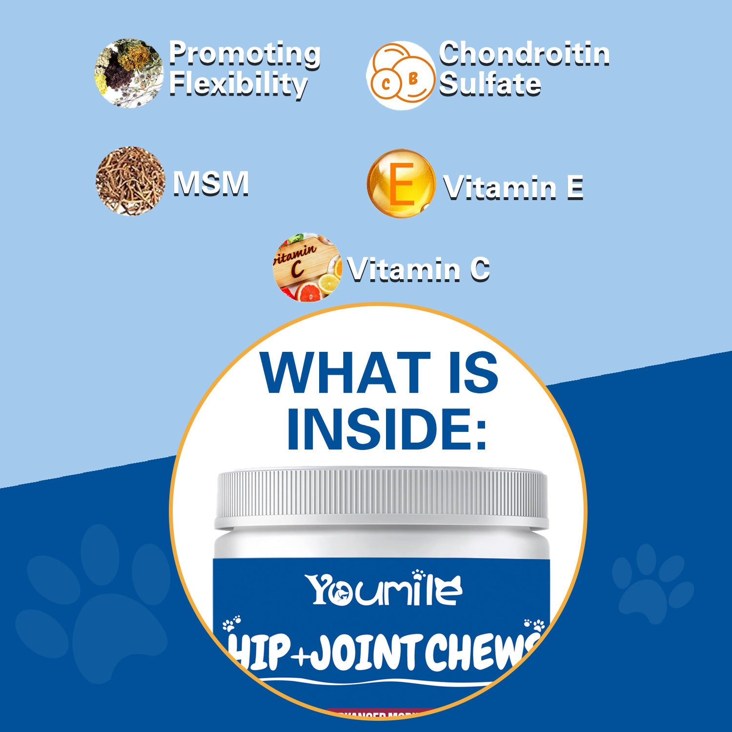 Pet Hip Joint Supplement Dog Glucosamine Chondroitin